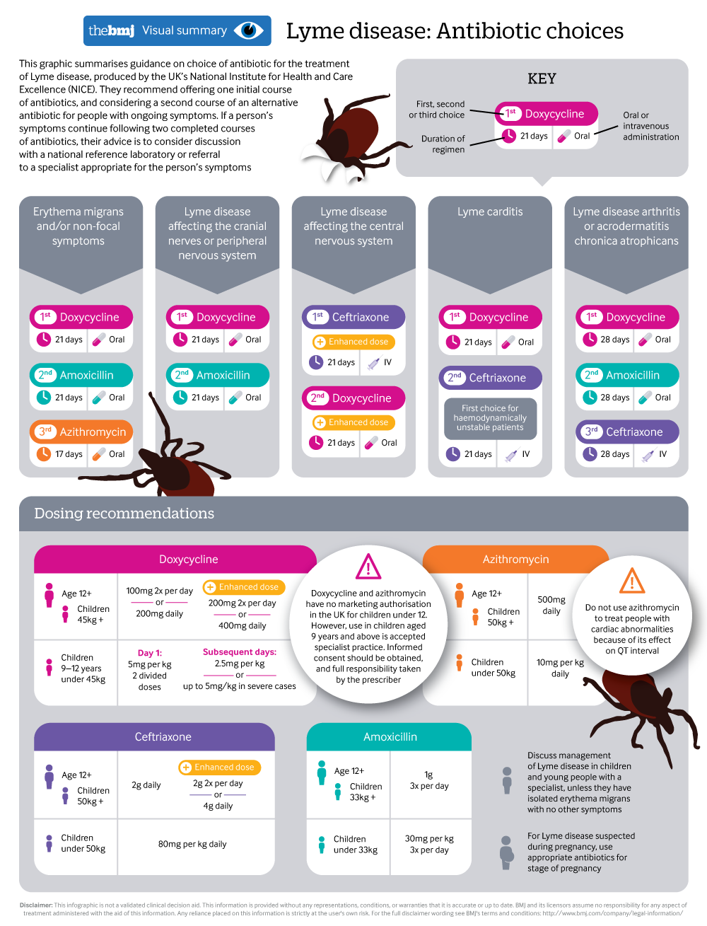 Lyme disease Antibiotic choices The BMJ