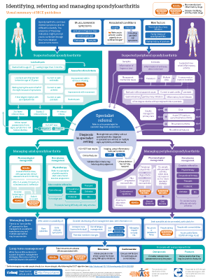 cropped thumbnail of infographic