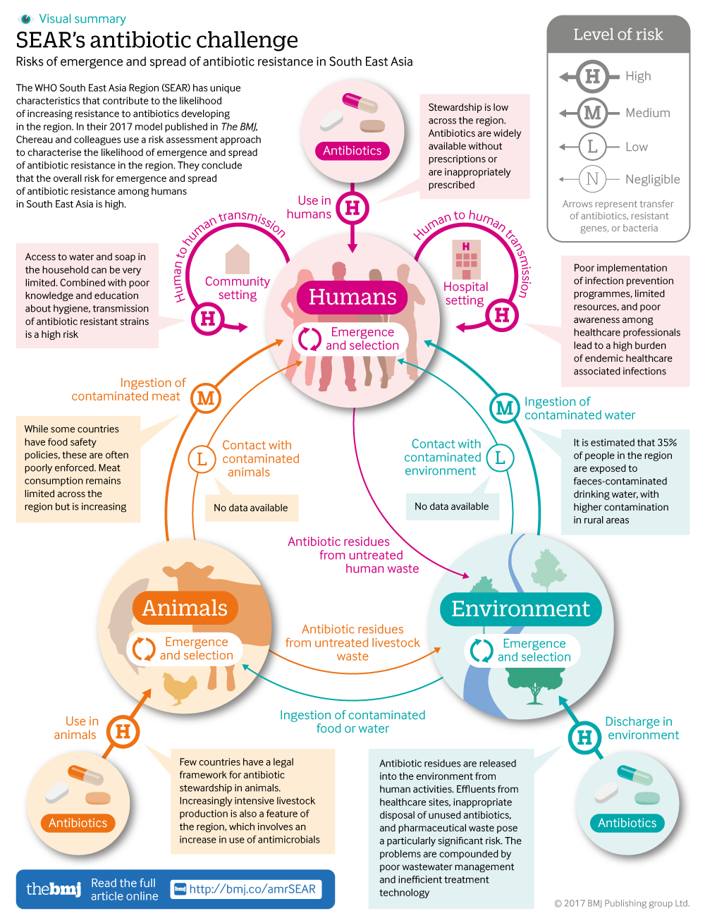 cropped thumbnail of infographic