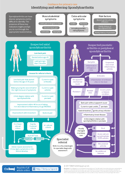 cropped thumbnail of infographic