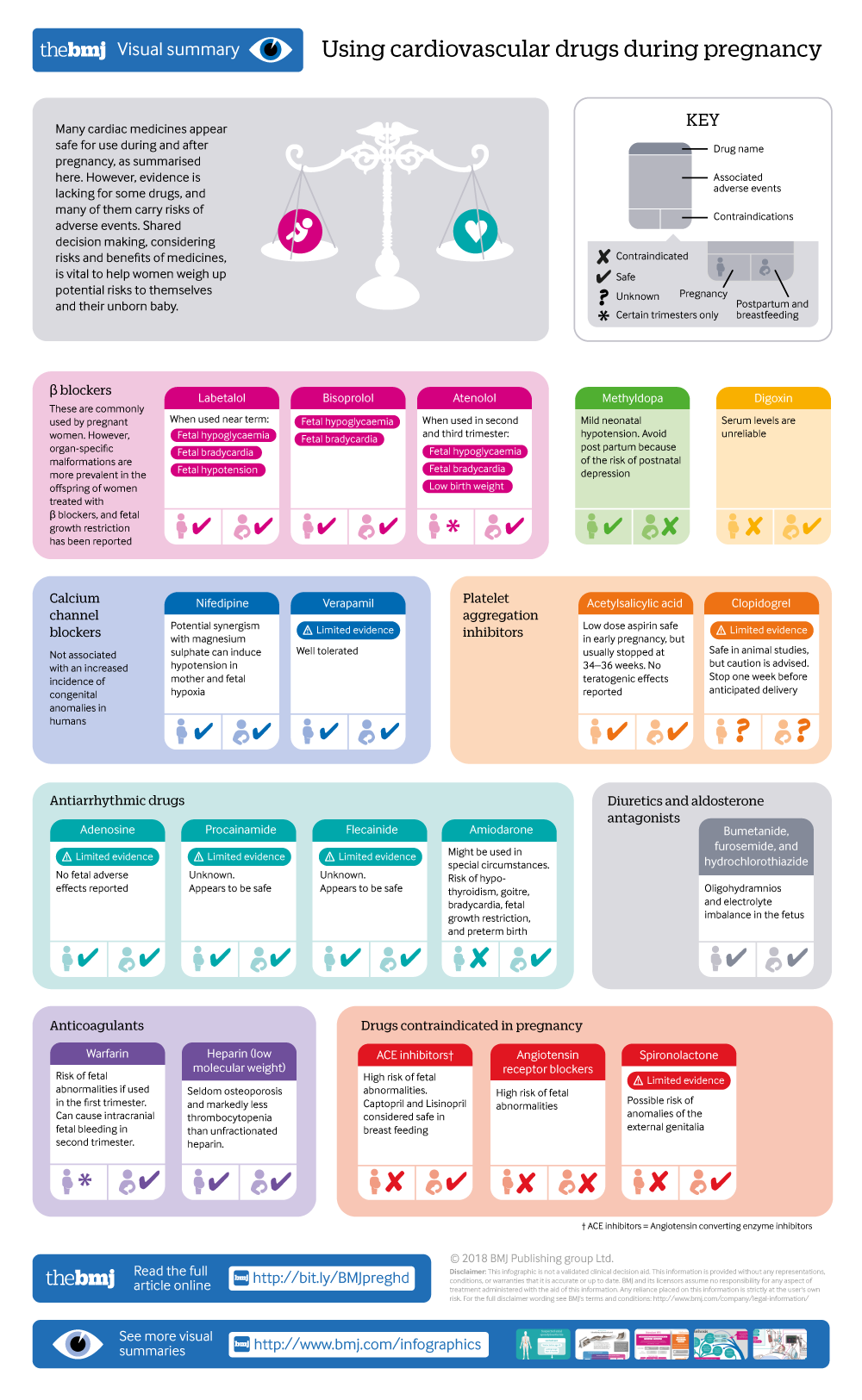 cropped thumbnail of infographic