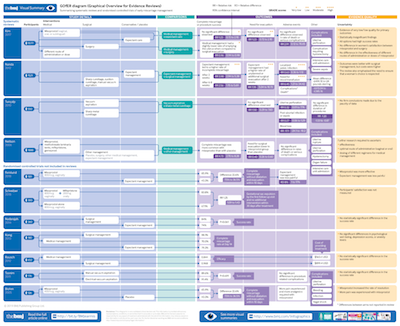 cropped thumbnail of infographic